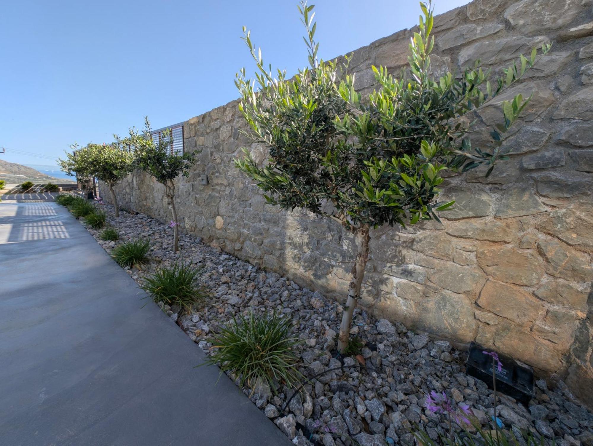 Thea Villas Makrýgialos Exterior foto